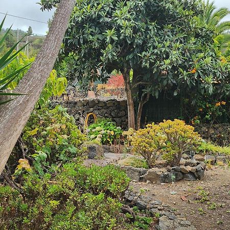 Willa Oasis Hill Botanical Garden Icod De Los Vinos Zewnętrze zdjęcie