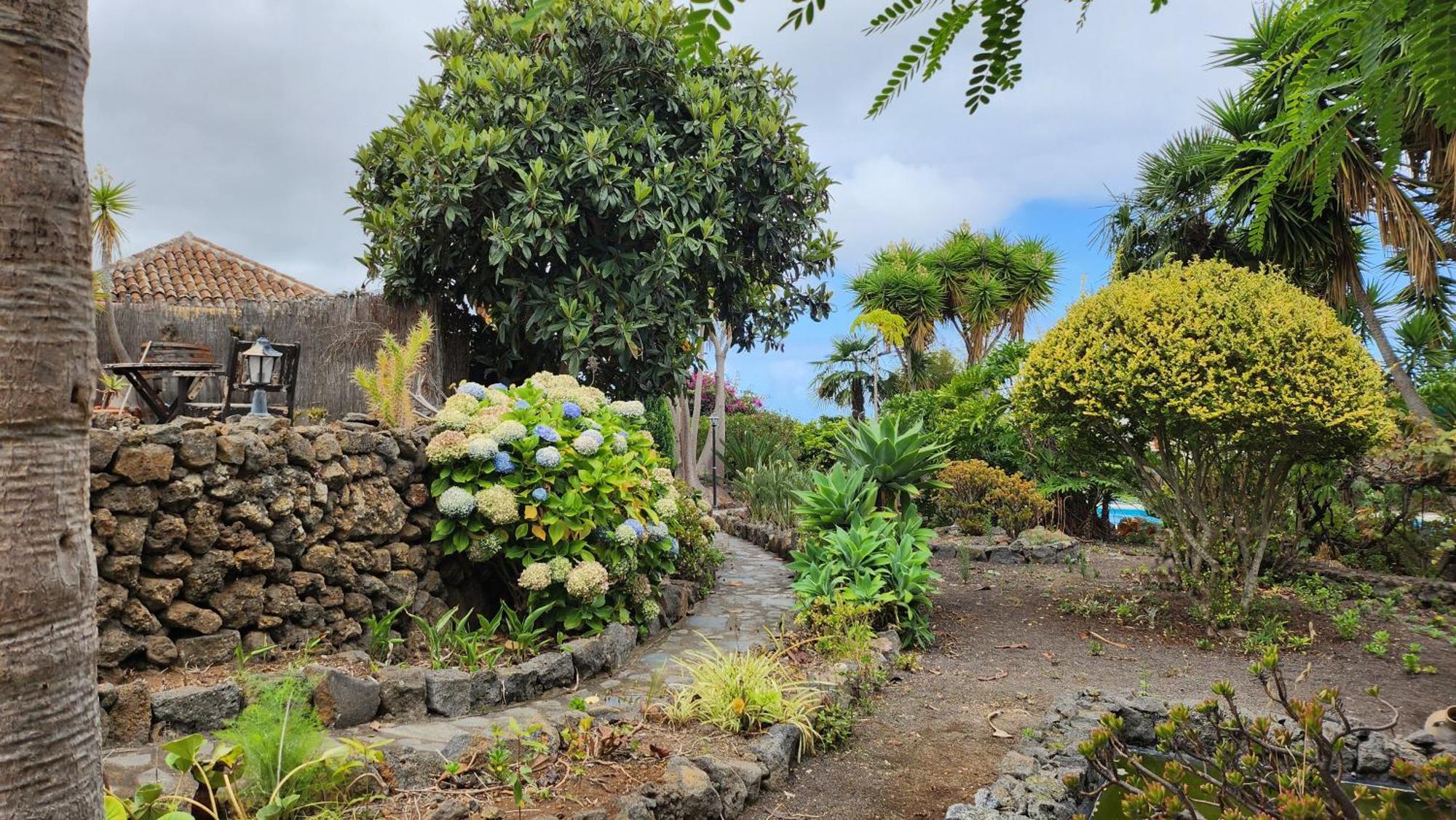 Willa Oasis Hill Botanical Garden Icod De Los Vinos Zewnętrze zdjęcie