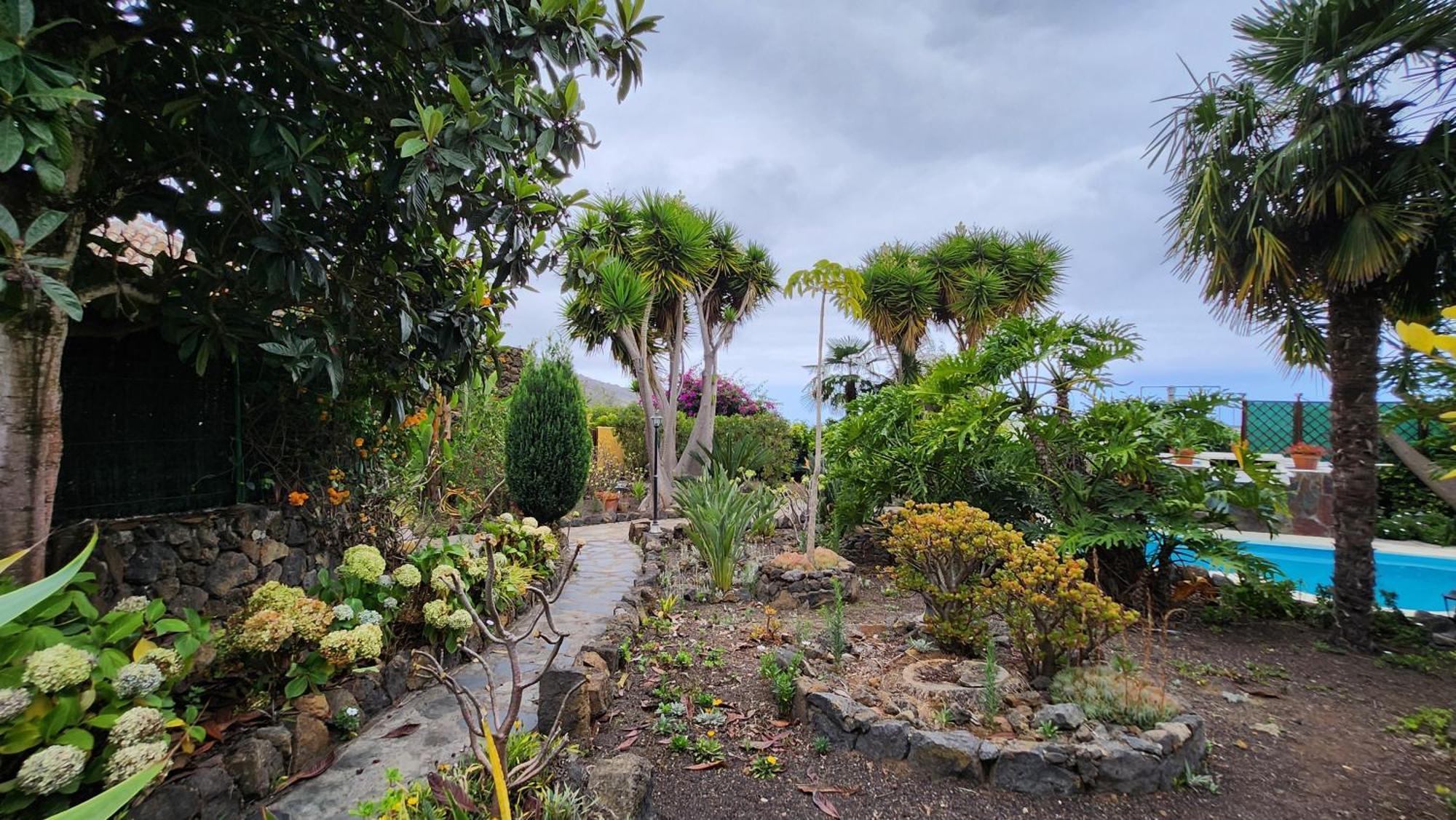 Willa Oasis Hill Botanical Garden Icod De Los Vinos Zewnętrze zdjęcie