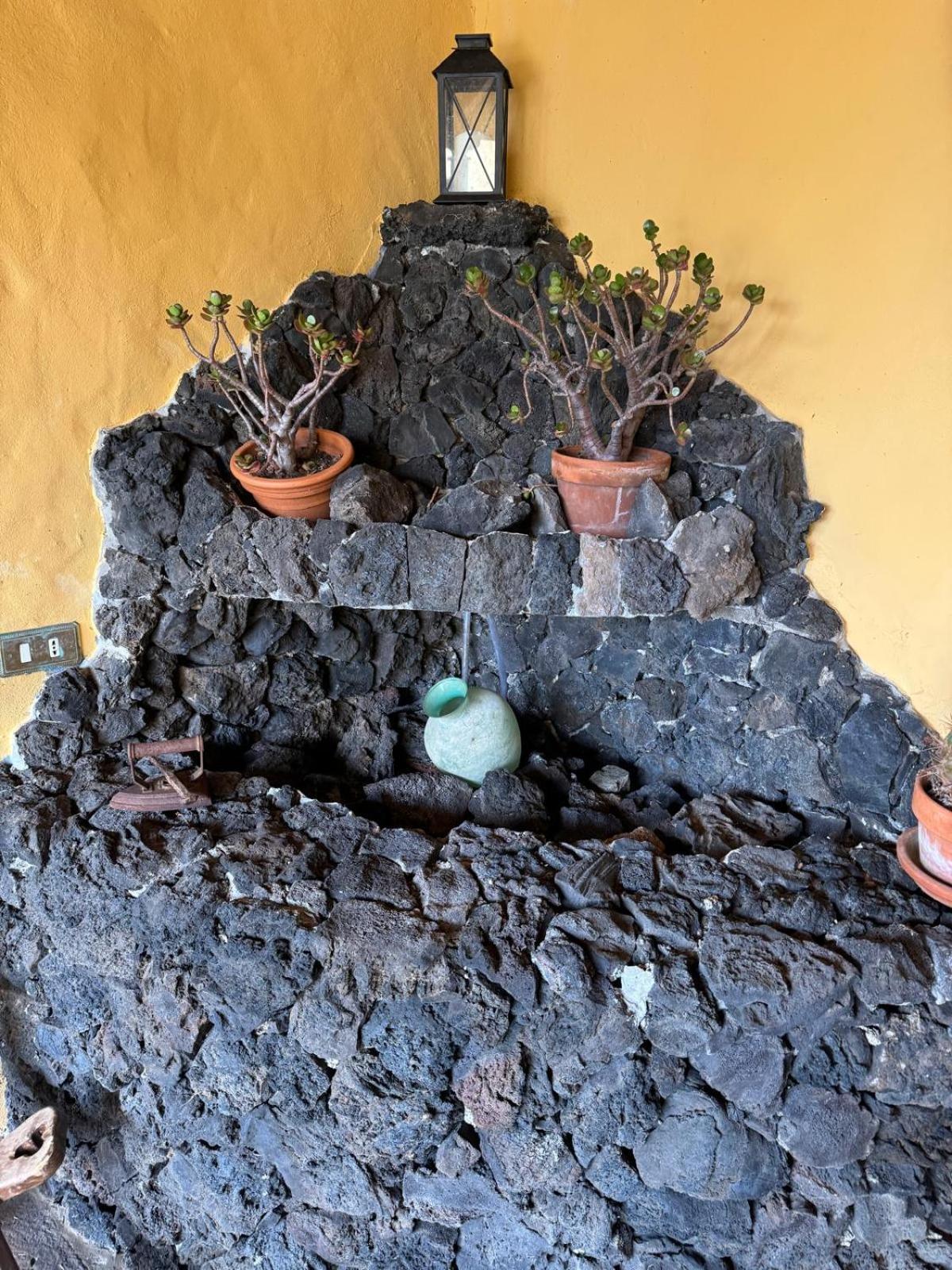 Willa Oasis Hill Botanical Garden Icod De Los Vinos Zewnętrze zdjęcie