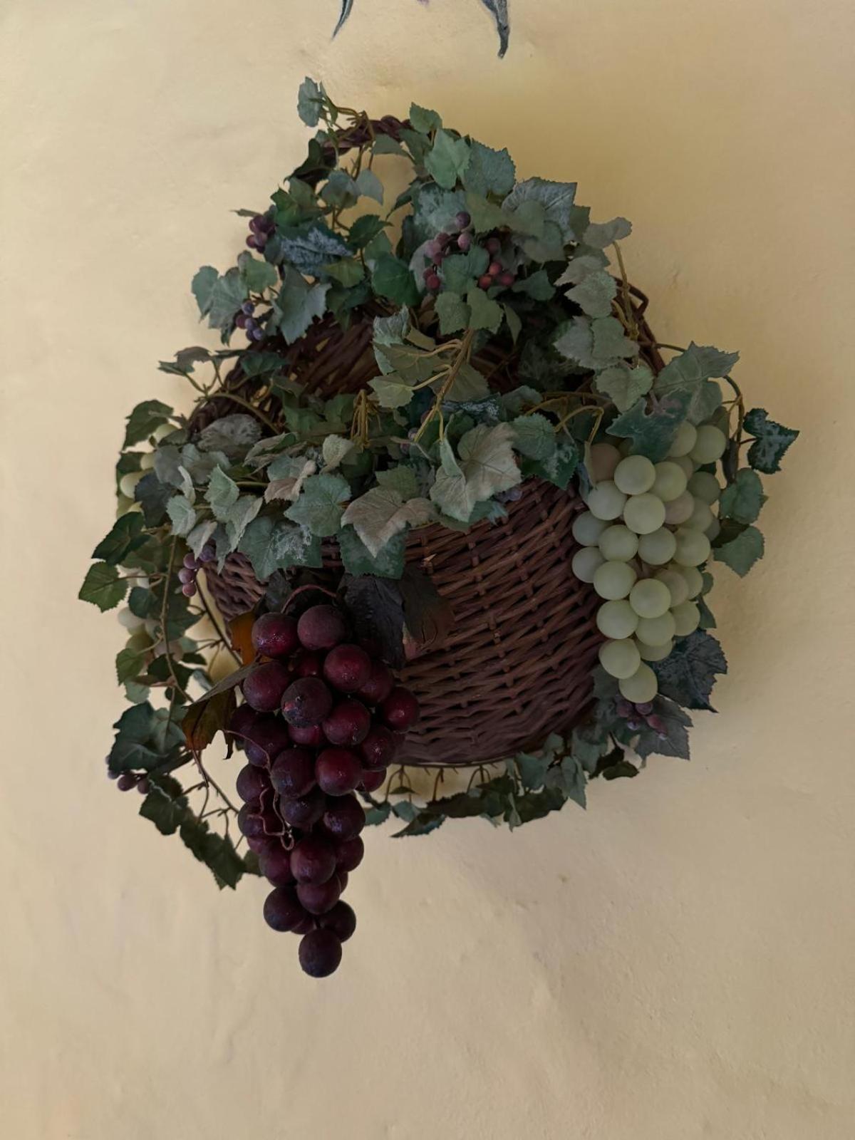 Willa Oasis Hill Botanical Garden Icod De Los Vinos Zewnętrze zdjęcie